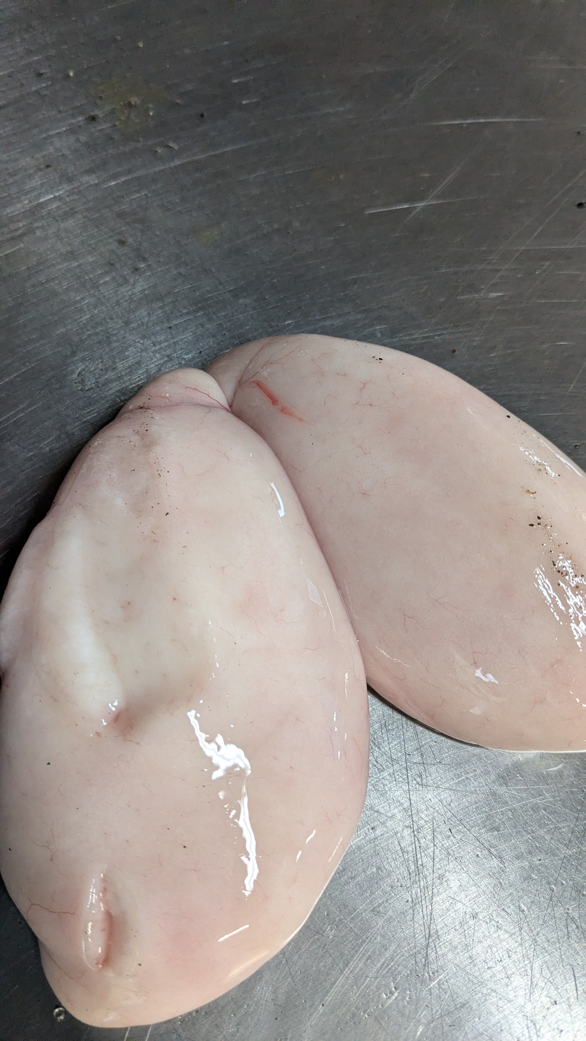 �ե��ȼ���